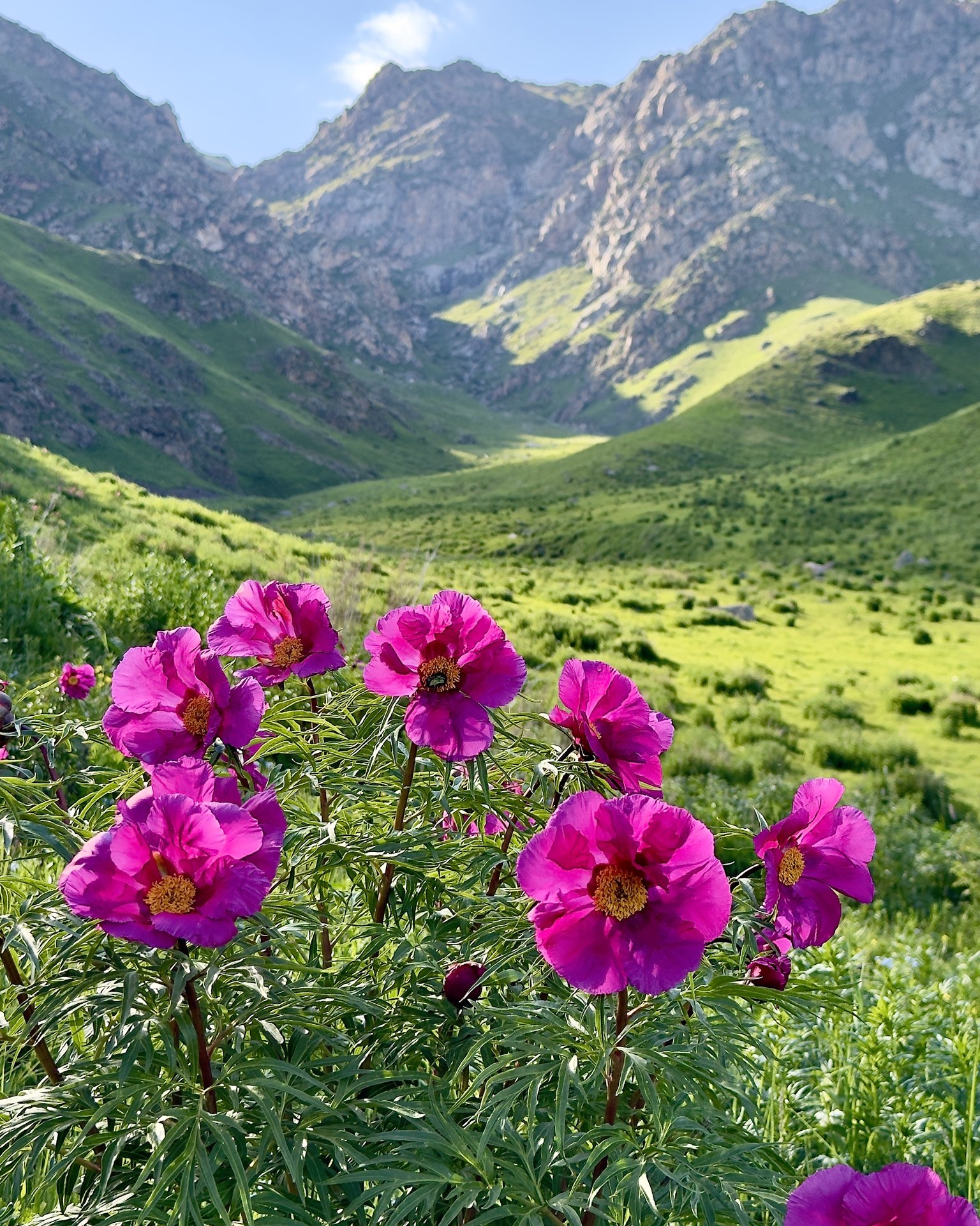 Kastek Gorge