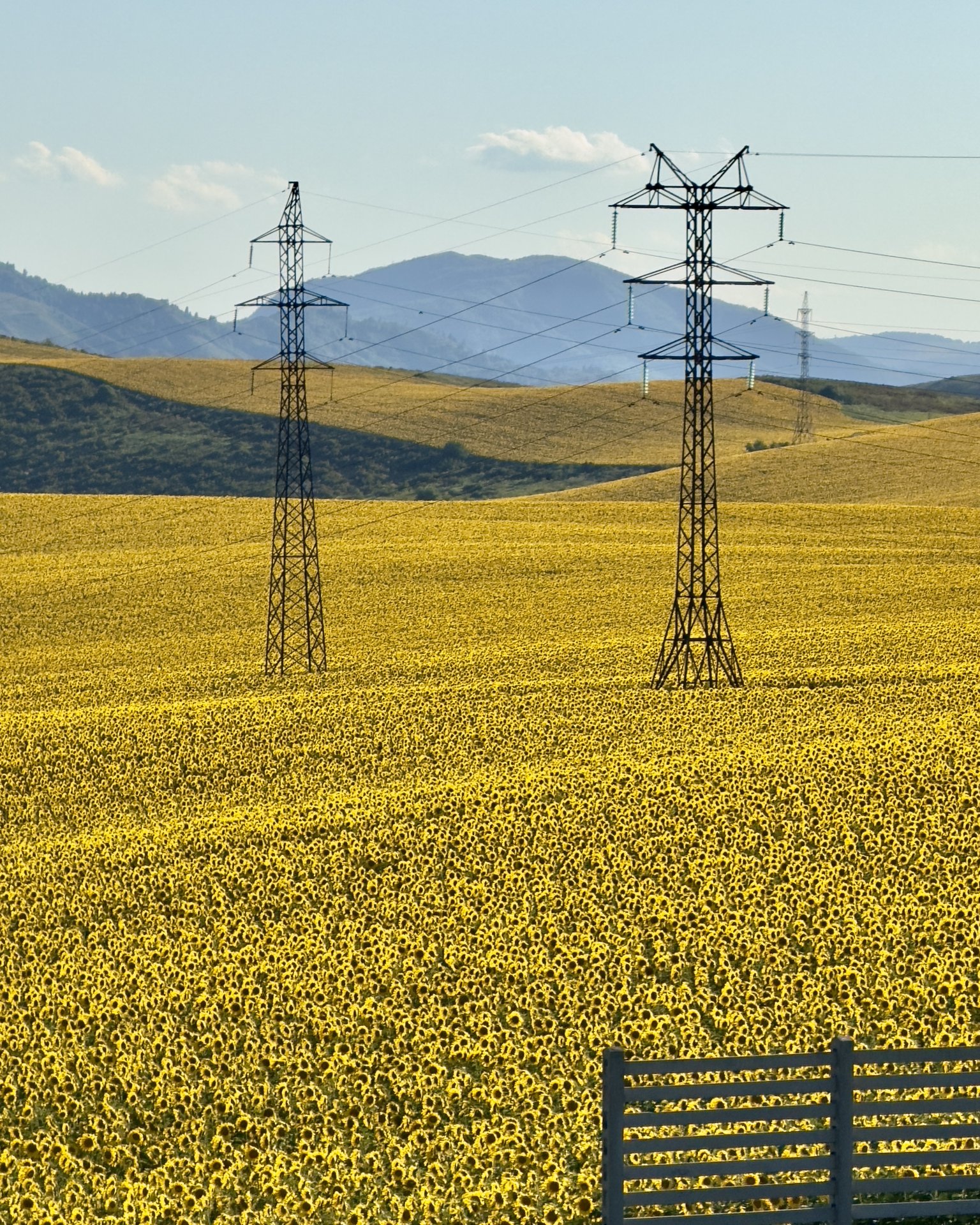 East Kazakhstan