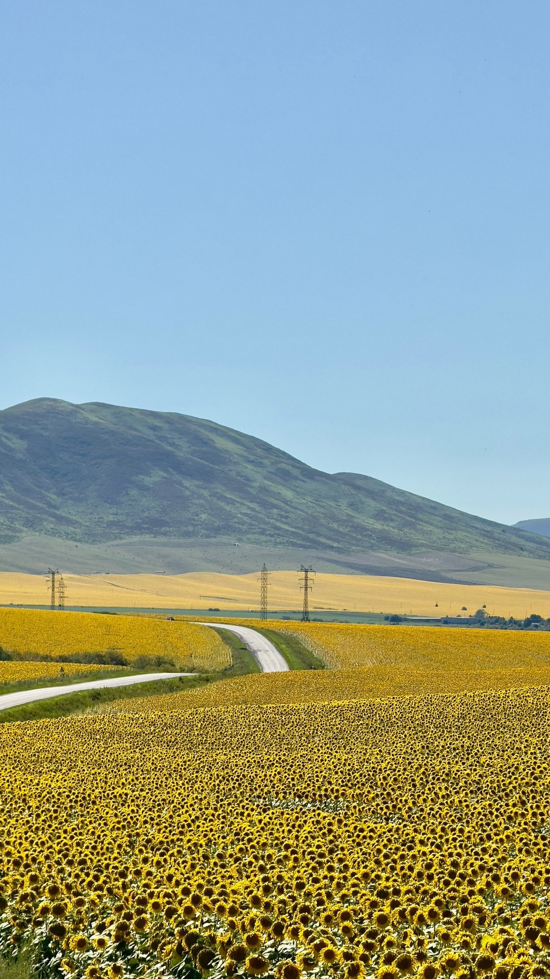 East Kazakhstan